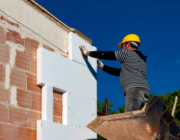 Best Types of Insulation in Eming Island, FL