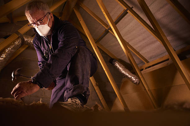 Best Insulation Materials and Products in Eming Island, FL